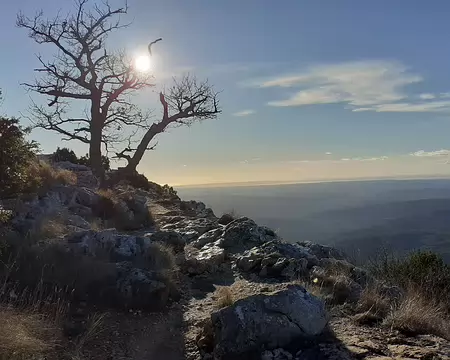 20260206_163424 ... mais nous laisse le temps d'apprécier le paysage