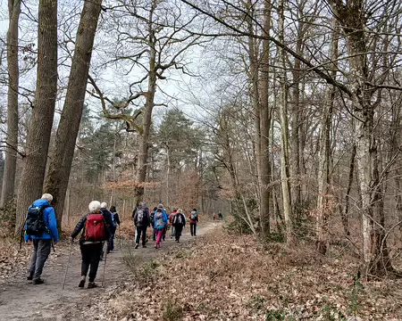003 Sur le chemin de Chailly en direction du carrefour des Perlures