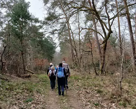 010 Sur la route forestière de Solférino