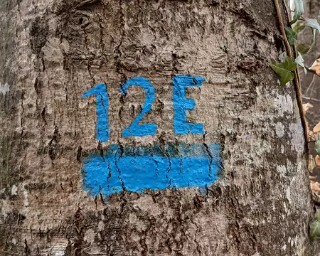 012 Le sentier bleu 12 Est décrit une boucle de 10 km (Mont des Truies – Mont Saint-Germain – Butte Saint-Louis)