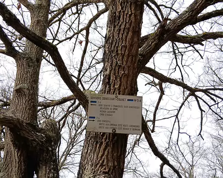 017 Les premiers sentiers bleus ont été tracés par Claude-François Denecourt, vétéran de l’armée napoléonienne, de 1842 à 1875. Charles Colinet a étendu le réseau...