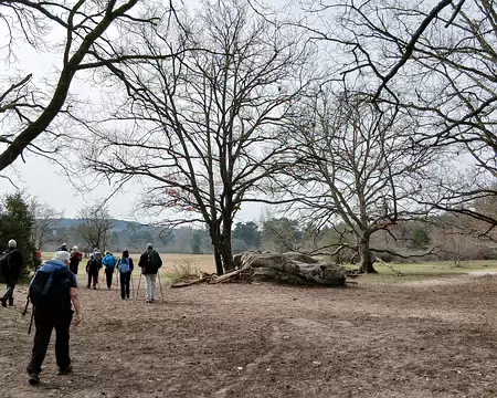 018 Vaste clairière sablonneuse …