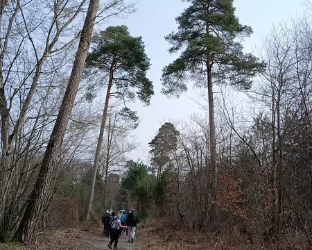 023 Sur la route Eugénie