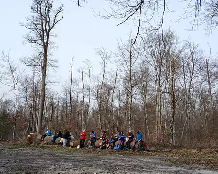 024 Pique-nique sur grume