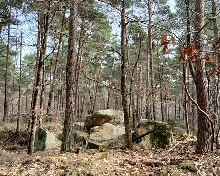 031 Pinède et blocs de grès
