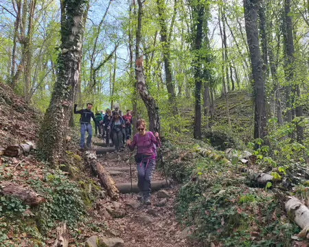 20260329_160632 Descente en forêt vers Lardy