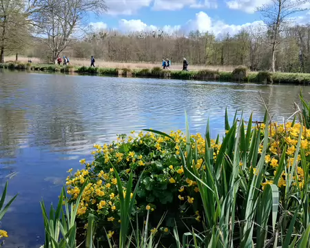 017 L’étang est situé à la jonction de deux canaux alimentés par la Juine