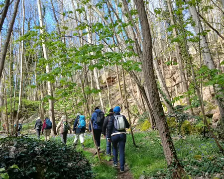 024 Arrivée dans la forêt départementale du Belvédère