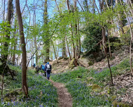 026 Montée vers le Belvédère