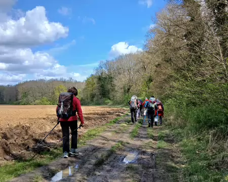 039 Sur le plateau, entre bois et labours