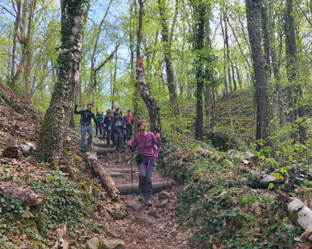 20260329_160632 Descente en forêt vers Lardy
