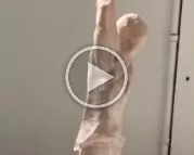 Le bras m'en tombe (voir vidéo suivante). Screenshot