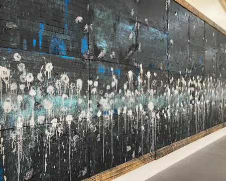 Les Nymphéas revisités.