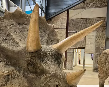 Sun Yuan et Peng Yu, Tricératops.