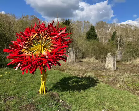 Indestructible marquerite.