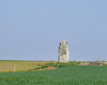 P1220726 Menhir de la Pierre droite, 4 mètres de haut, Milly-la-Forêt