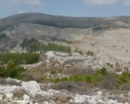 P1200256 Le castellaras de la Malle est un édifice monumental bâtit il y a plus de 2000 ans par les peuplades qui occupaient alors les plateau des Préalpes de Grasse.