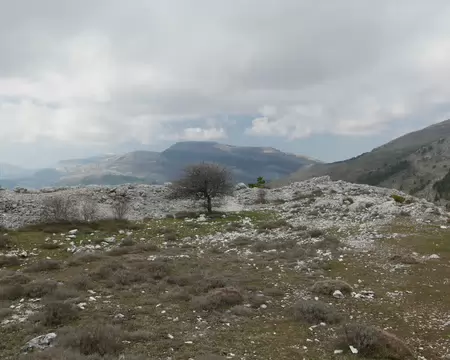 P1200257 Vue depuis l'intérieure de l'enceinte.