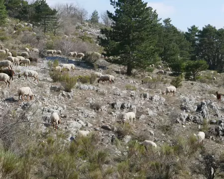 P1200261 Première sortie pour elles aussi !