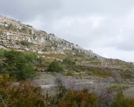 P1200269 Vue vers l'est