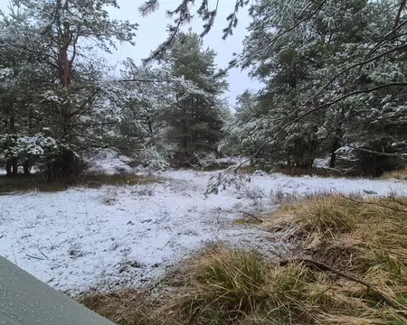 P1200292 Réveil blanc du dimanche matin.