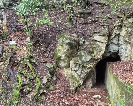 P1200294 Un des 22 tunnels creusés pour le passage de l'aqueduc du Foulon dans les années 1880.