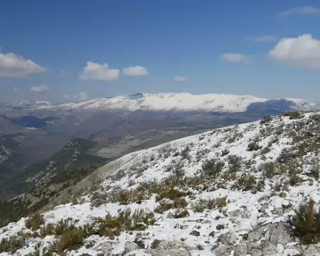 P1200318 Vue sur la montagne du Cheiron (1778m).