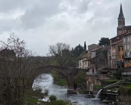 020 Le Pont Vieux et l'église Saint-Michel de Camares dominant le village.