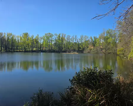 051 Plan d'eau du parc de Pratgraussals tout près du vieil Albi.