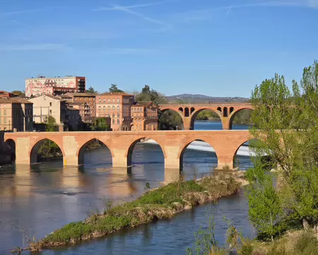 068 Depuis les jardins du Palais de la Berbie, vue panoramique sur les berges du Tarn, le Pont Vieux et les anciens moulins.
