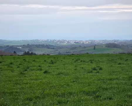 075 Vue sur Alban depuis les environs de Massals.