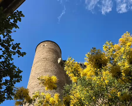 107 L'une des tours du château de Coupiac.