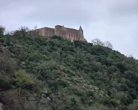 138 Le Prieuré et Notre-Dame de l'Auder vus depuis les bords du Tarn.