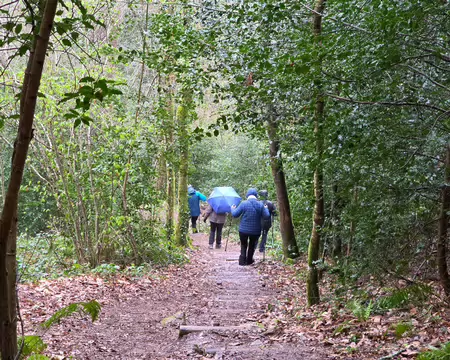 144 Descente raide vers le ruisseau des Bardes dans un site classé « espace naturel sensible ».