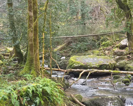 146 Passerelle suspendue au-dessus du ruisseau des Bardes.