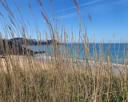 20260322_114529 Maez an Aod