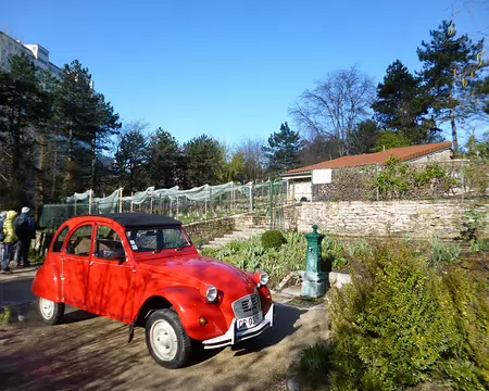 P1220612 Au XVIIIè s. se trouvait le vignoble de Périchaux