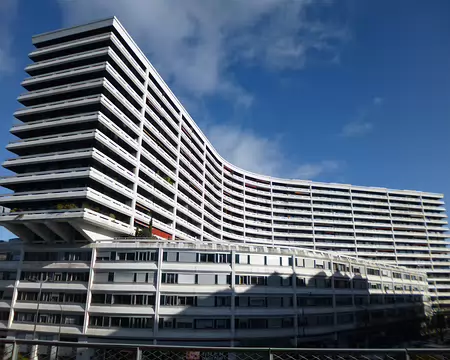 P1220615 Le Grand Pavois, 1969-71, vu depuis la Petite Ceinture