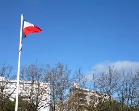P1220616 Monument aux morts pour la France en opérations extérieures (2019), jardin Eugénie-Djendi