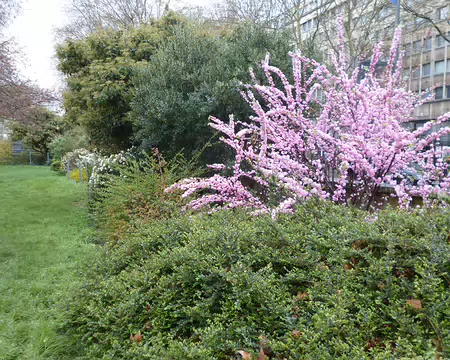 P1220663 Jardin Tino-Rossi créé en 1980...