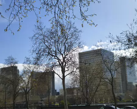 P1220676 La Bibliothèque François-Mitterrand (1995)