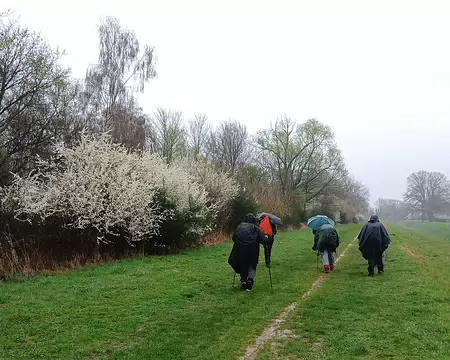 001 Départ pour une randonnée dans les Yvelines (19 km), de La Verrière aux Essarts-le-Roi, via Lévis-Saint-Nom et Le Mesnil-Saint-Denis