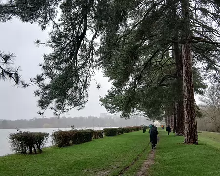 004 Chemin bordé de pins, sur la digue, entre l’étang des Noës et la rigole du Lit de Rivière
