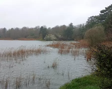 007 L’étang des Noës (Vauban, 1684) appartient au réseau de captage des eaux (« Rivière du Roi-Soleil »)