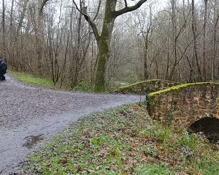 009 Pont sur le Rhodon (longueur 9,7 km), petit affluent de l’Yvette