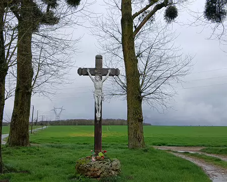 012 La Croix Mathurine, au croisement de chemins ruraux, est entourée de peupliers