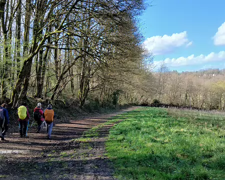 043 Chemin de lisière