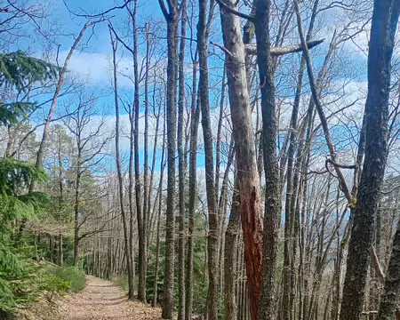 IMG_20260404_142301935_HDR hdr