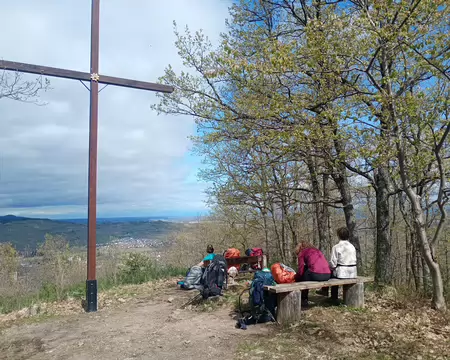 IMG_20260404_144603762_MFNR