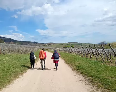 IMG_20260405_113504637_MFNR